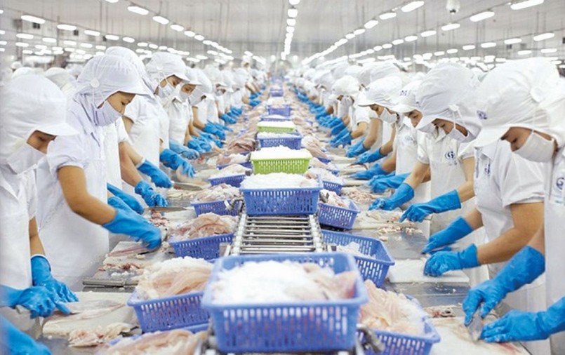 EU là thị trường nhiều dư địa cho thủy sản Việt Nam.