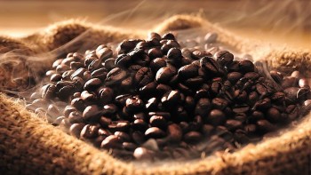 Giá cà phê hôm nay 22/8: Vượt mốc lịch sử 123.200 đồng/kg, thị trường 