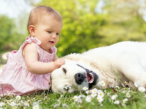 Tiếp xúc với thiên nhiên và vật nuôi làm giảm nguy cơ dị ứng, đồng thời mang lại niềm vui cho trẻ.