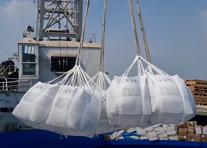 Hạt gạo Việt vươn xa từ giá trị đến thị trường xanh EU
