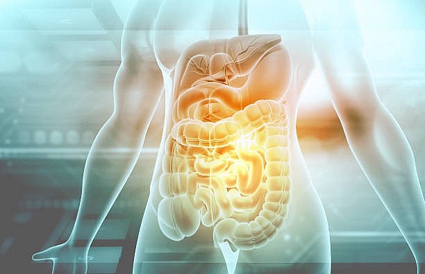 Đường ruột chứa hàng nghìn tỷ vi sinh vật, được ví như “bộ não thứ hai” của cơ thể.