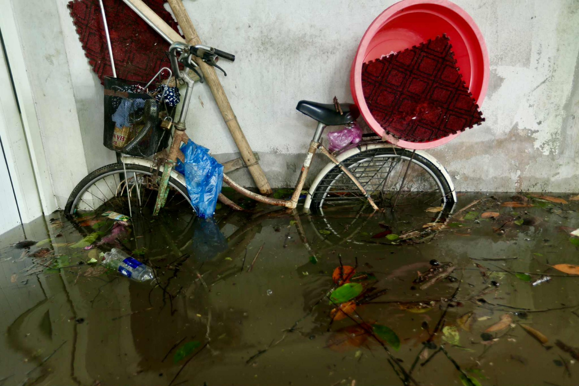 Thanh Hóa: Nước lũ lên nhanh, 3 bà cháu thất thần nhìn dòng nước nhấn chìm tài sản Thanh Hóa: Lũ dâng cao bất ngờ, nhiều hộ dân bất lực nhìn đồ đạc chìm trong nước