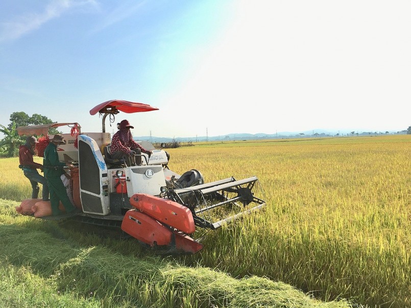 Việt Nam đã làm chủ được các bộ giống lúa cho năng suất, chất lượng cao và thích ứng tốt với biến đổi khí hậu 