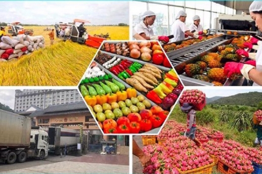 Thủ tướng chỉ đạo tăng cường truy xuất nguồn gốc, bảo đảm uy tín nông sản Việt xuất khẩu