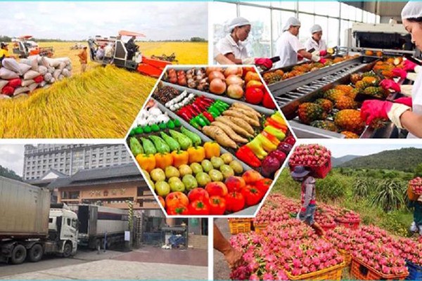 Thủ tướng chỉ đạo tăng cường truy xuất nguồn gốc, bảo đảm uy tín nông sản Việt xuất khẩu