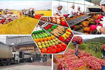 Thủ tướng chỉ đạo tăng cường truy xuất nguồn gốc, bảo đảm uy tín nông sản Việt xuất khẩu
