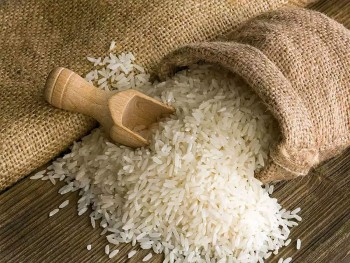 Giá gạo hôm nay 1/9: Trong nước đi ngang, xuất khẩu tiếp tục giữ giá cao