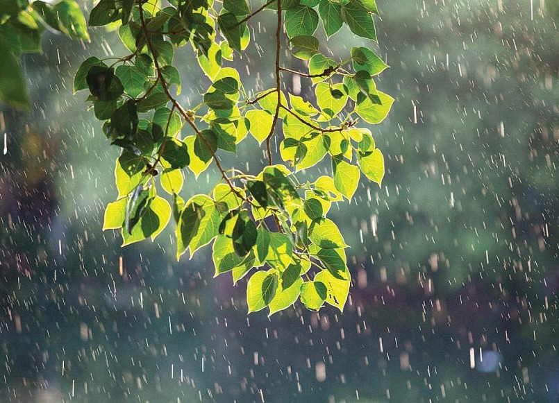 Các khu vực ở rìa xa của bão như Vịnh Bắc Bộ và vùng ven biển phía Đông Bắc Bộ có thể xuất hiện dông, lốc và gió giật mạnh.