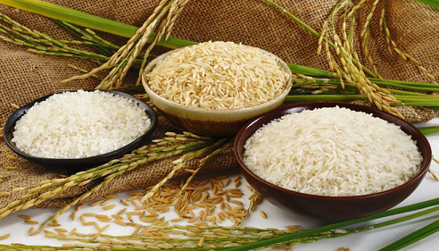 Chủ động và linh hoạt chiến lược kinh doanh: Chìa khóa giúp ngành gạo Việt vượt khó