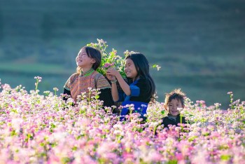 Sản phẩm du lịch mới tạo sức hút, mở kỳ vọng cho mùa cao điểm cuối năm