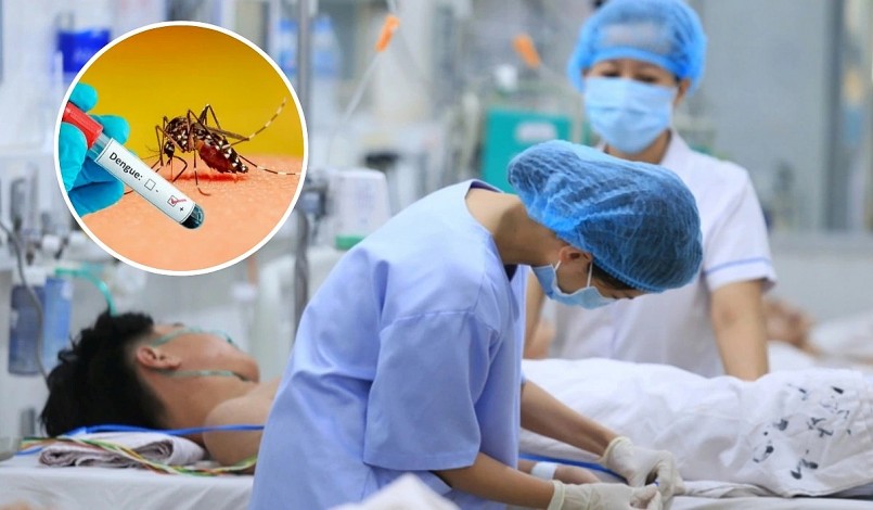 Trong tuần lễ từ ngày 29/8 đến 5/9/2025, toàn thành phố đã ghi nhận 161 ca mắc sốt xuất huyết tại 61 phường, xã.