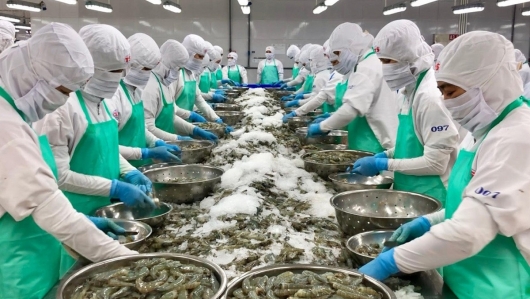 Việt Nam xuất khẩu sang Hoa Kỳ tăng 44%, cán mốc 106 tỉ USD