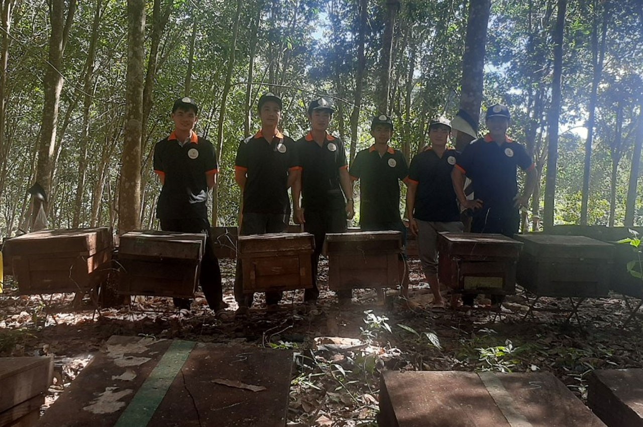 Mật ong Phương Di: từ đồi núi Gia Lai vươn tới trời Âu
