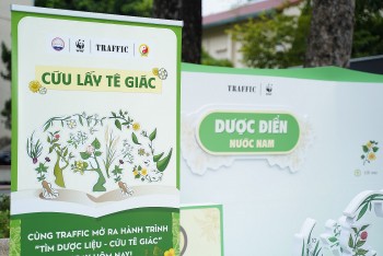 Hợp tác phát triển bền vững y học cổ truyền, gắn với bảo tồn thiên nhiên