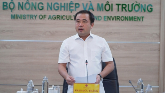 Thị trường gạo Việt Nam không chịu tác động lớn