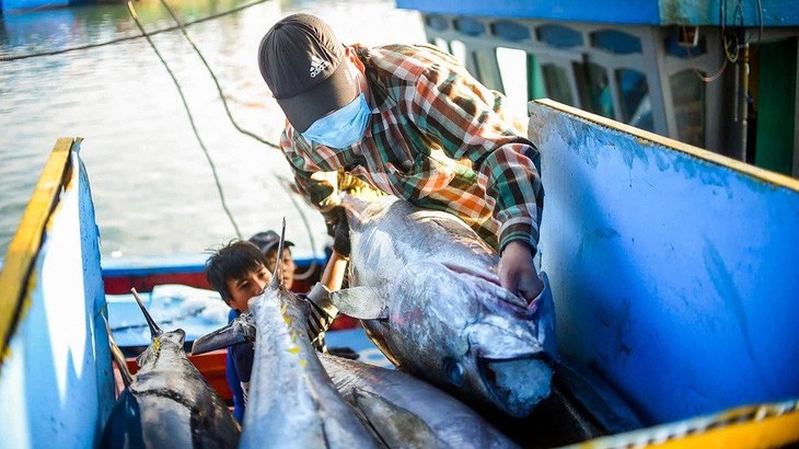 Xuất khẩu nông lâm thủy sản khởi sắc, thủy sản đối diện thách thức