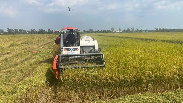 Hiệu quả kép từ Đề án 1 triệu ha lúa chất lượng cao, phát thải thấp