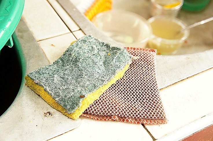 Bề mặt xốp, ẩm ướt và thường xuyên tiếp xúc với thức ăn thừa là điều kiện không thể lý tưởng hơn cho vi khuẩn sinh sôi.