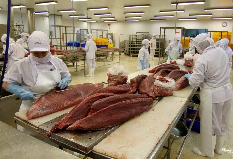 Thủ tướng chỉ đạo gỡ khó cho xuất khẩu cá ngừ