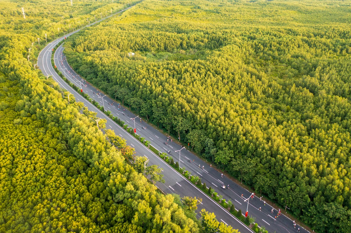 HDBank Green Marathon 2025 - Điểm hẹn của những bước chân xanh và nhịp sống số