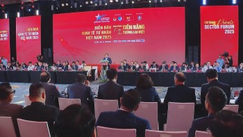 Doanh nghiệp tư nhân đồng hành cùng Nhà nước phát triển kinh tế