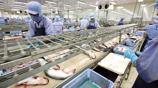 Ngành thủy sản Việt Nam bứt phá, chinh phục mốc xuất khẩu 10 tỷ USD