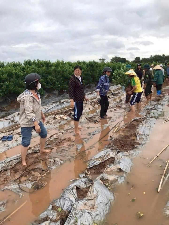 Bảo Hiểm Nông Nghiệp - Bài 1: Nông dân “e ngại”, chính quyền gặp nhiều khó khăn