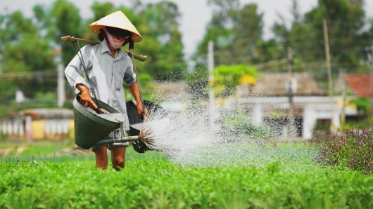 Giải thưởng Du lịch Việt Nam – Hành trình từ vinh danh đến phát triển
