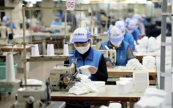 Kinh tế, thương mại - trụ cột hợp tác trong quan hệ Việt Nam và Đức