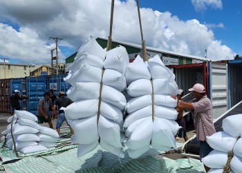 Xuất khẩu nông sản Việt Nam bứt phá trong hội nhập toàn cầu