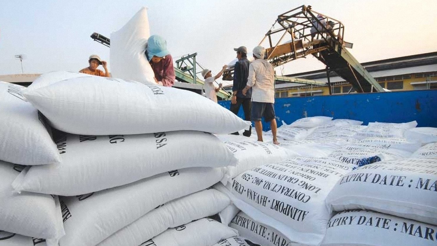 Bộ Công Thương lấy ý kiến dự thảo nghị định xuất khẩu gạo
