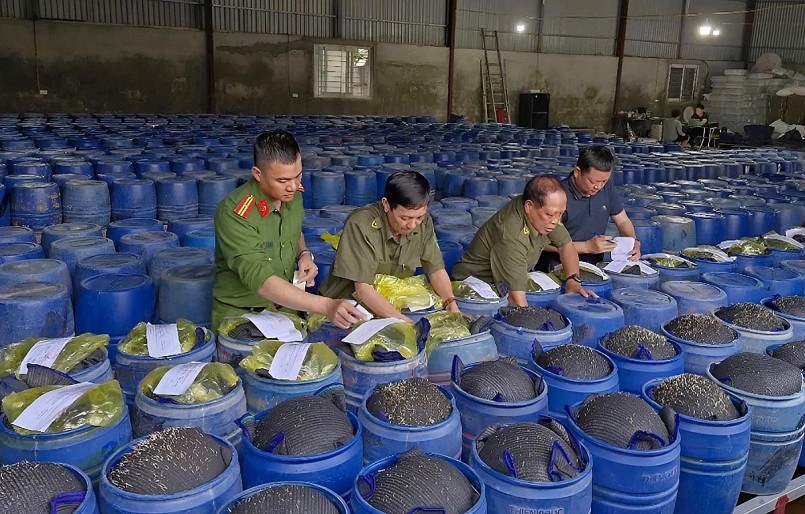 Vụ 3.500 tấn giá đỗ 'ngậm' chất cấm ở TP Vinh, Nghệ An. Ảnh: CACC