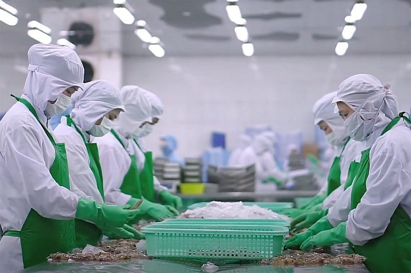 uất khẩu thủy sản dự báo gặp nhiều khó khăn trong giai đoạn tới. 