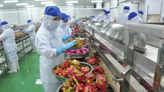 Xuất khẩu tăng tốc – Hành trình hướng tới kỷ lục mới