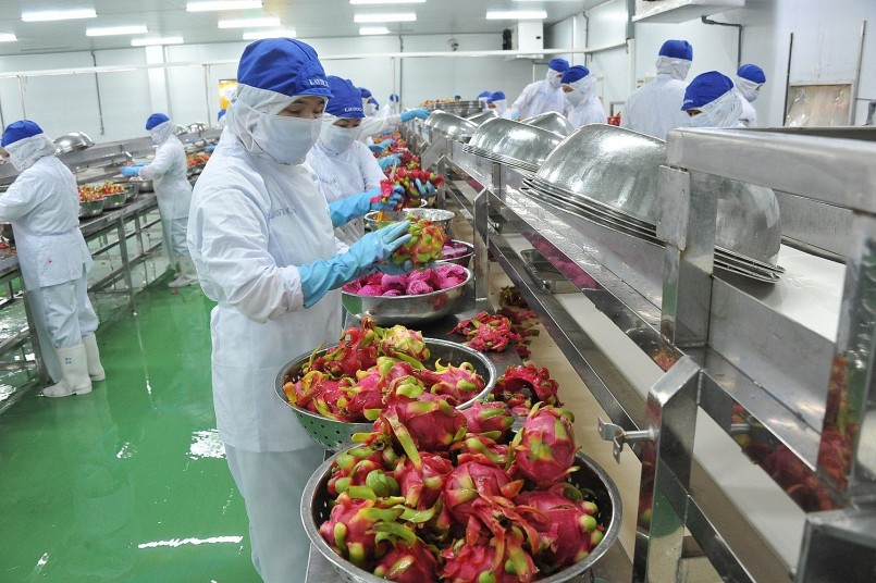 Xuất khẩu tăng tốc – Hành trình hướng tới kỷ lục mới