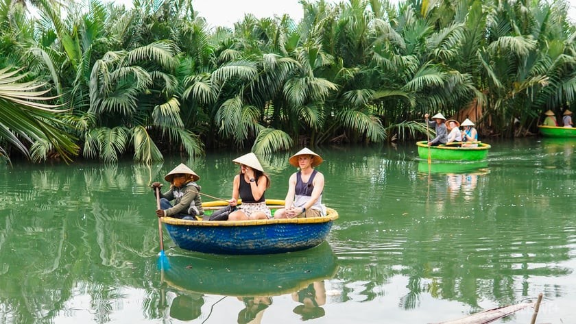 Rừng dừa Bảy Mẫu rộng gần 100 ha thu hút khách du lịch trong và ngoài nước.