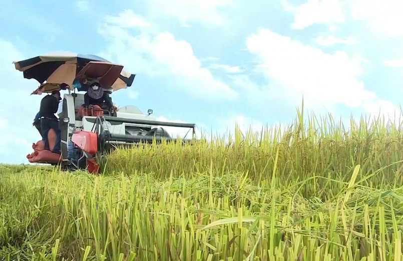 Những số liệu xuất khẩu đã khẳng định năng lực sản xuất vượt trội của nông nghiệp Việt Nam