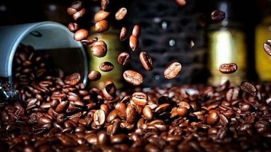 Giá cà phê 15/10: Trong nước tăng cao, xuất khẩu tiến sát kỷ lục 9 tỷ USD