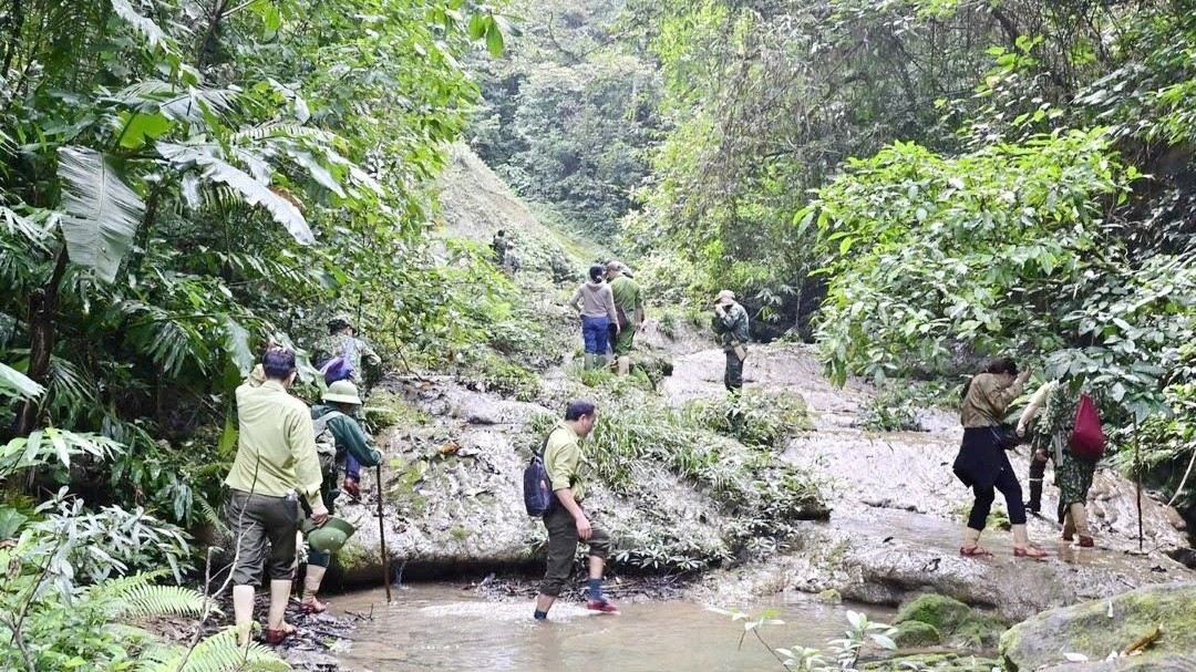 Lợi ích kép từ giao rừng cho cộng đồng