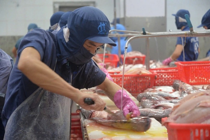 Thủy sản Việt Nam và cơ hội mở rộng thị trường EU