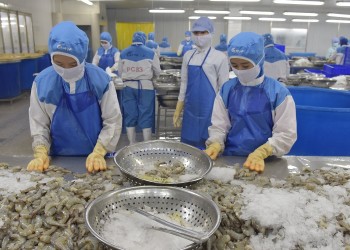 Thủy sản Việt Nam và cơ hội mở rộng thị trường EU