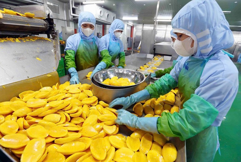 Hàng Việt khai thác EVFTA, mở rộng thị trường xuất khẩu
