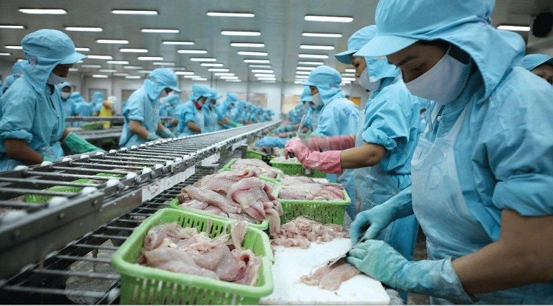 Từ xuất khẩu đến nội địa: Bước ngoặt tái định vị của thủy sản Việt