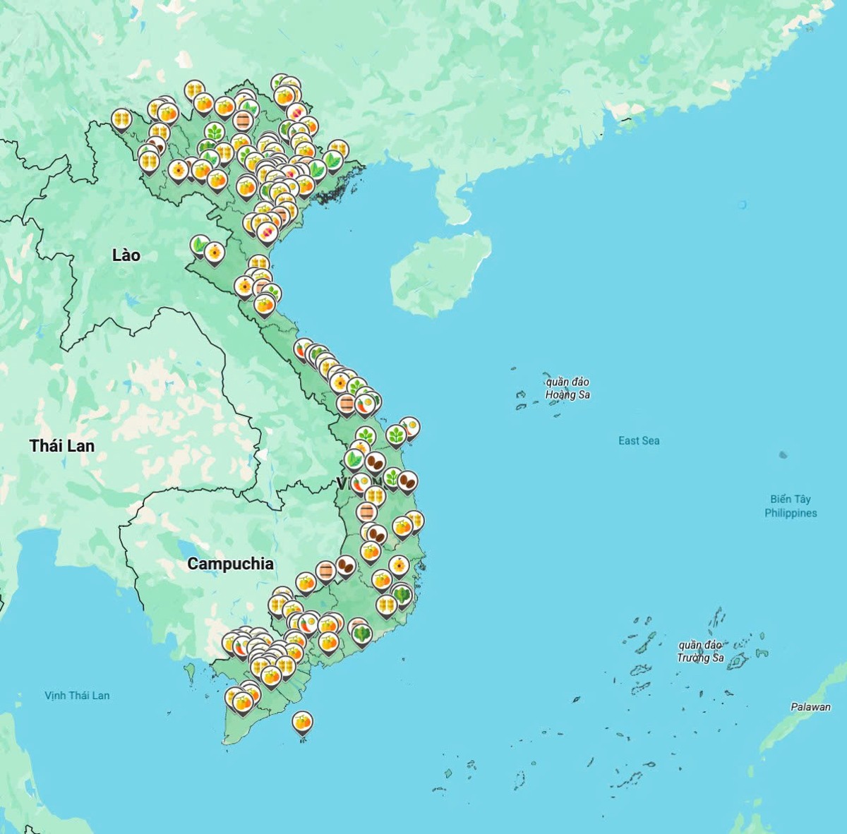 Tuần lễ Nông sản Việt 2025: Kết nối sản xuất – tiêu dùng, lan tỏa thương hiệu trên thị trường Việt