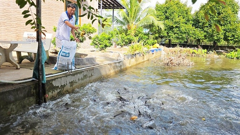 "Hái ra tiền" nhờ mô hình nông nghiệp không chất thải