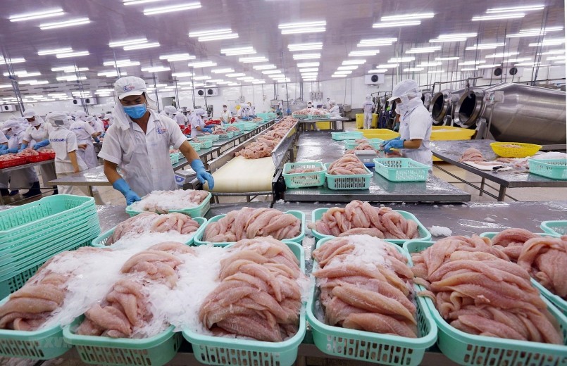 Khai mở “mỏ vàng” thị trường nội địa: Hướng đi bền vững cho thủy sản Việt Nam