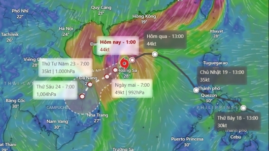 Thủ tướng Chính phủ chỉ đạo ứng phó bão số 12 ở mức cao nhất