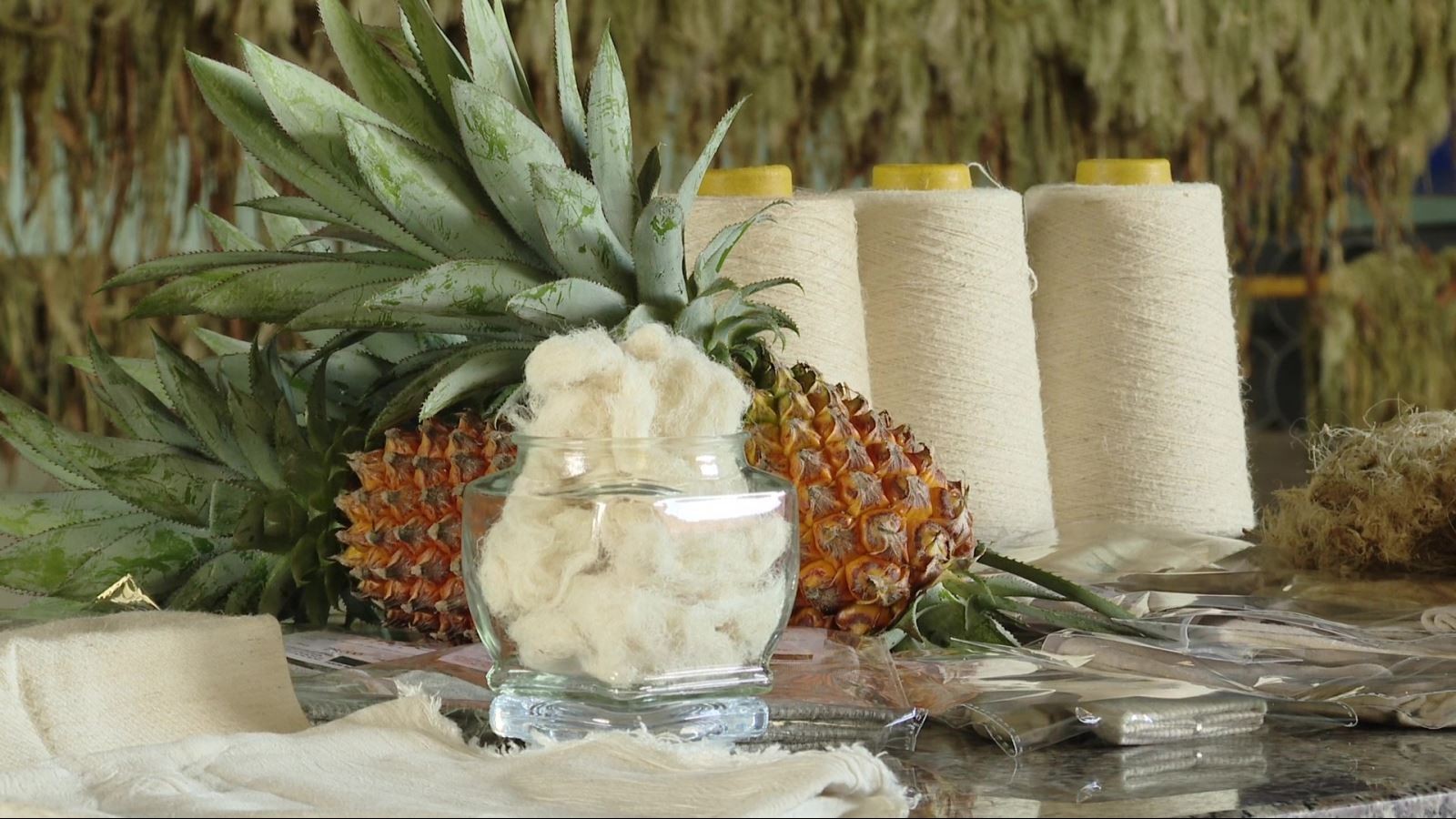 Hợp tác xã nông nghiệp xanh: Chuyển đổi để vươn tầm phát triển