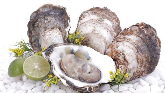 Mẫu lệ - Vị thuốc đến từ biển