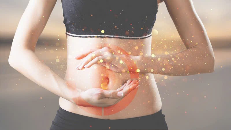 Hồi đầu thảo - Dược liệu quý ẩn mình giữa miền núi phía Bắc Hồi đầu thảo - Dược liệu quý ẩn mình giữa miền núi phía Bắc